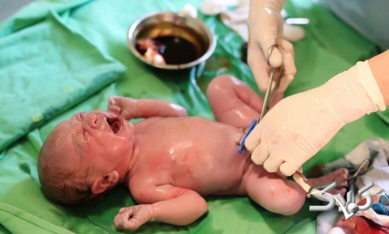 خون بند ناف