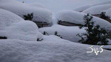 برف مازندران
