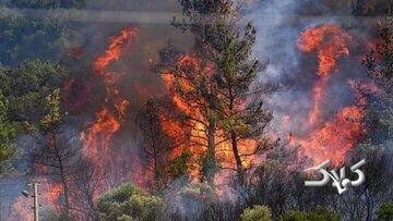 حریق سبزِ «الیت»؛ مرور آتش‌سوزی‌های شاخص جنگل‌های ایران در یک دهه اخیر