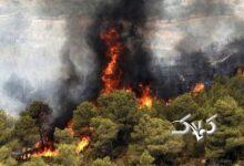 آتش در جنگل‌های کلاردشت شعله‌ور شد