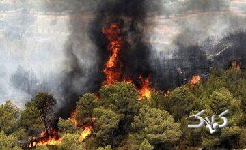 آتش در جنگلهای کلاردشت شعلهور شد