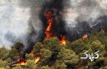آتش در جنگل‌های کلاردشت شعله‌ور شد