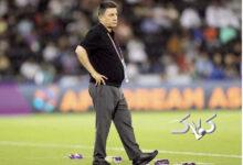 امیر قلعه نویی