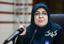 توضیح سخنگوی دولت درباره بنزین ۵۰۰۰هزار تومانی و حذف سهمیه سوخت برخی خودروها +ویدیو