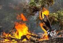 با این بحران جدید چه می‌کنید؟