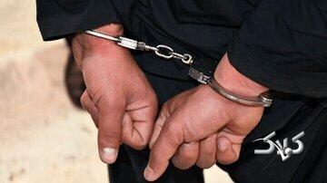 بازداشت ۷ بازیگر سرشناس‌ با ۳۸ لیتر مشروب/ روایت فارس از جشن تولد شب جمعه «ع. ش»