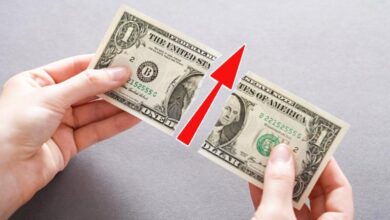 قیمت دلار تا پایان امسال به چه سطحی میرسد؟+پیشبینی مهم رییس اسبق کانون صرافان