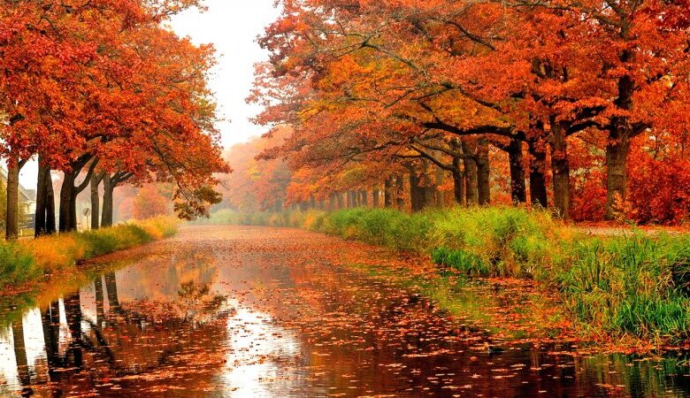 این استانها منتظر بارندگی و کاهش دما باشند / وضعیت هوای کشور تا اواخر آذرماه