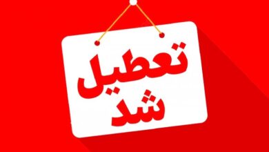 اطلاعیه تعطیلی/ مدارس ابتدایی و متوسطه اول این شهرها تا آخر هفته تعطیل شد