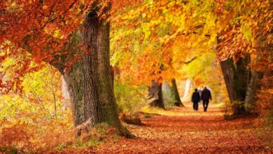 علت اصلی نباریدن باران در ایران اعلام شد؛ این پدیده سمج آسمان ایران را ترک نمیکند!