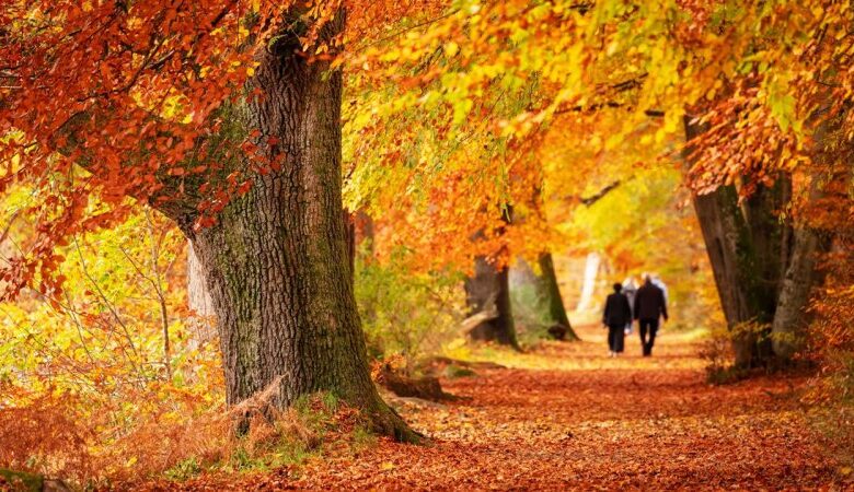 علت اصلی نباریدن باران در ایران اعلام شد؛ این پدیده‌ سمج آسمان ایران را ترک نمی‌کند!