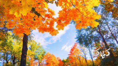 برف و باران شنبه و یکشنبه به این مناطق می‌رسد/ هشدار جدی برای ساکنان ۱۱ استان‌