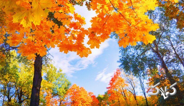 برف و باران شنبه و یکشنبه به این مناطق میرسد/ هشدار جدی برای ساکنان ۱۱ استان