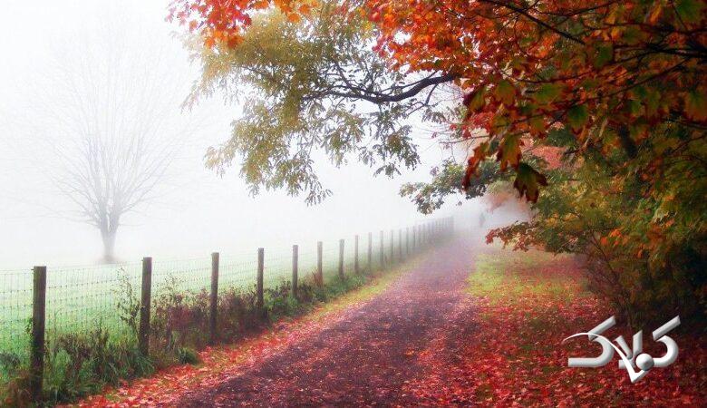 پیش بینی وضعیت هوا تا پایان هفته/ این استان ها بارانی می شوند