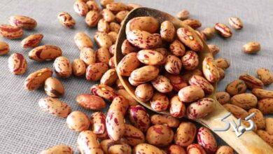 قیمت هرکیلو لوبیا چیتی در بازار چند؟