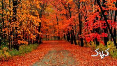 تا این تاریخ خبری از باران پاییزی نیست