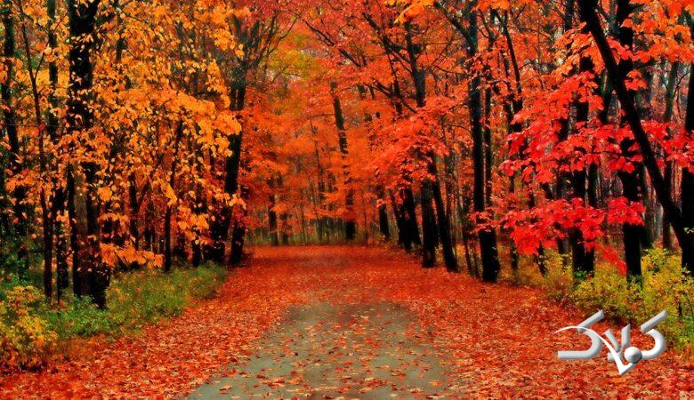 تا این تاریخ خبری از باران پاییزی نیست