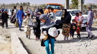 آمار جدید و رسمی اتباع در ایران اعلام شد