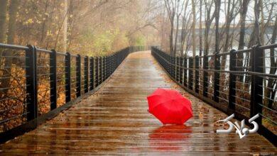 زمان آغاز موج جدید بارشهای پاییزی مشخص شد