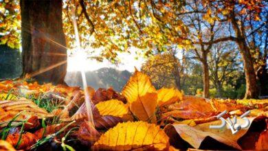 حتی یک قطره باران هم در هیچ نقطه ایران نمیبارد