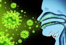 هشدار جدی به همه مردم ایران / ویروس جدید شیوع پیدا کرد