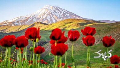 دردناک‌ترین تصویر زمستانی از قله دماوند منتشر شد+ عکس