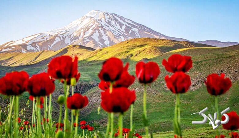 دردناک‌ترین تصویر زمستانی از قله دماوند منتشر شد+ عکس