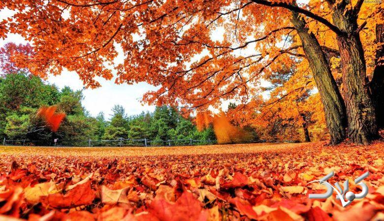 هشدار هواشناسی درباره ورود موج پیاپی سامانه‌ها؛ آغاز بارش‌ها از امشب