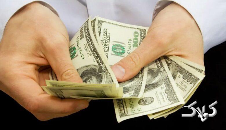 قیمت احتمالی دلار در ماه‌های آینده مشخص شد/ نرخ واقعی سکه چه عددی است؟
