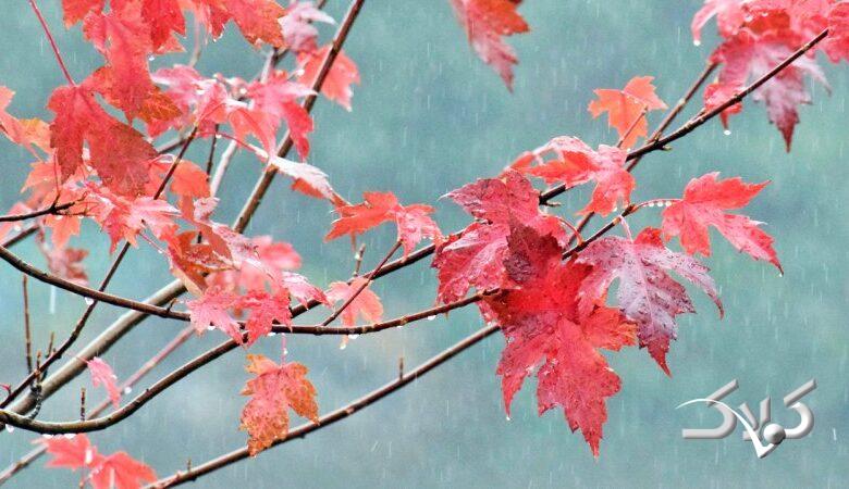 خبر بد هواشناسی برای تهرانیها / زمان رسمی آغاز بارشهای زمستانی اعلام شد