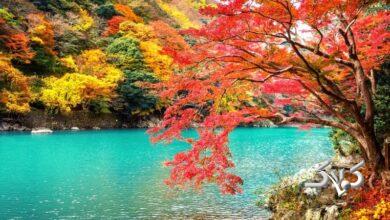 زمان آغاز بارشهای قدرتمند پاییز مشخص شد/ این بارشها، کسری آب را جبران میکند؟