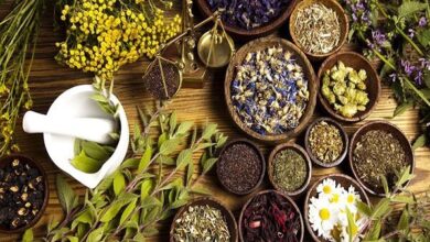 ۸۳ درصد مردم از طب سنتی استفاده می‌کنند