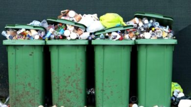 این بحران نمونه‌ای از مدیریت ناکارآمد است