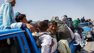 قاچاق اتباع افغان جاده‌ها و مسافران را تهدید می‌کند