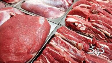 راز گرانی گوشت فاش شد