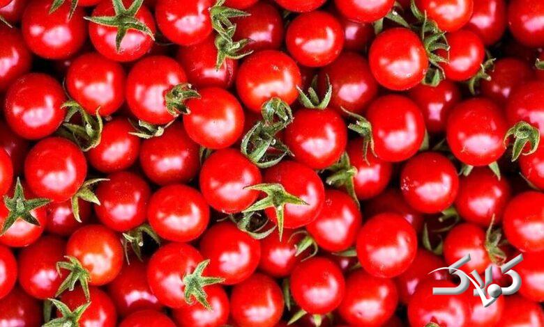 قیمت گوجه فرنگی مردم را شوکه کرد