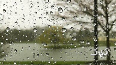 سامانه بارشی تازهنفس همراه با باران و برف در راه است/ هواشناسی هشدار صادر کرد +ویدیو