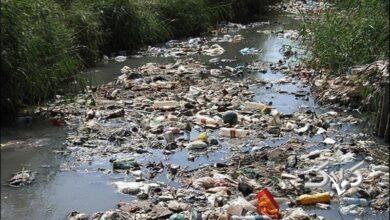 بیش از ۵ تریلیون زباله جانوران را در اقیانوس‌ها به چالش می‌کشد