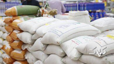 زلزله در بازار برنج ایران؛ قیمت تا ۴۰ برابر افزایش پیدا کرده!