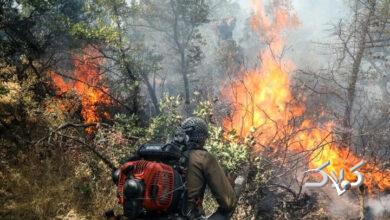 ویدیویی تکاندهنده از آتشسوزی جنگلهای گلستان