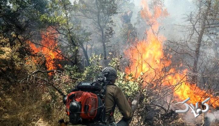 ویدیویی تکان‌دهنده از آتش‌سوزی جنگل‌های گلستان