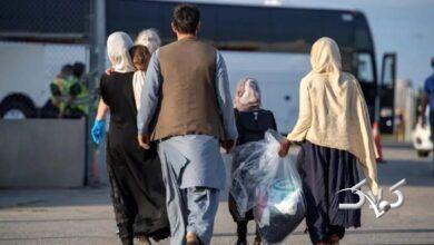 آمار شوکه‌کننده حضور اتباع خارجی در کشور و مصرف آب!