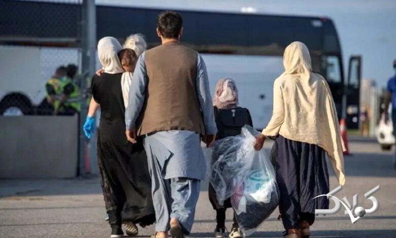 آمار شوکهکننده حضور اتباع خارجی در کشور و مصرف آب!