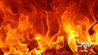 وضعیت آتشسوزی جنگلهای الیت را از آسمان ببینید +ویدیو