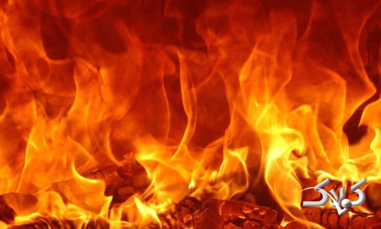 وضعیت آتش‌سوزی جنگل‌های الیت را از آسمان ببینید +ویدیو