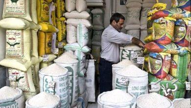 چرا برنج ایرانی به کیلویی ۳۰۰هزار تومان رسید؟