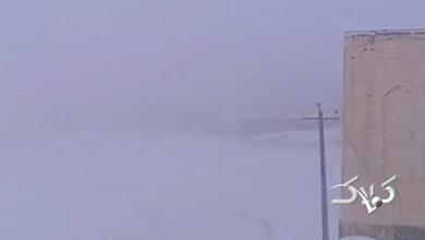 برف پاییزی با شدت وارد کشور شد +ویدیو