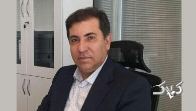 افشاگری از امکان ورود بیحساب و کتاب ریزپرنده به کشور +ویدیو