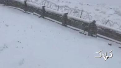 از گوشه و کنار کشور تصاویر برفی را ببینید!