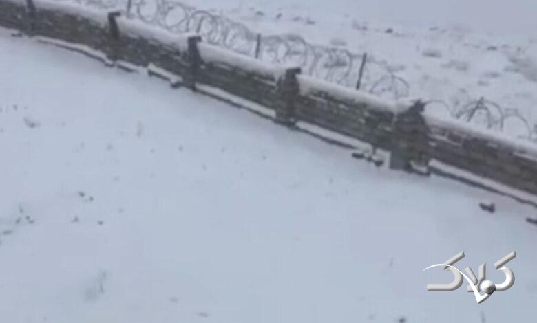 از گوشه و کنار کشور تصاویر برفی را ببینید!